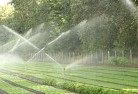 Raleighlandscaping-water-management-and-drainage-17.jpg; ?>